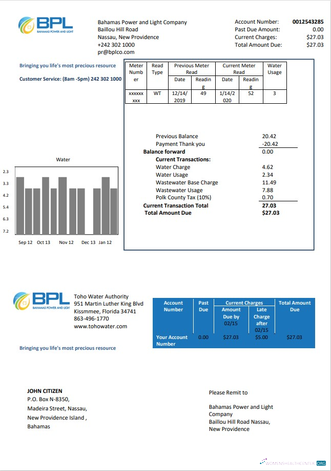 download Bahamas Power and Light Company utility bill template in Word and PDF format PDF template